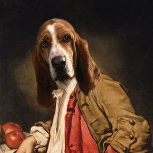 Meet your Posher, Tony